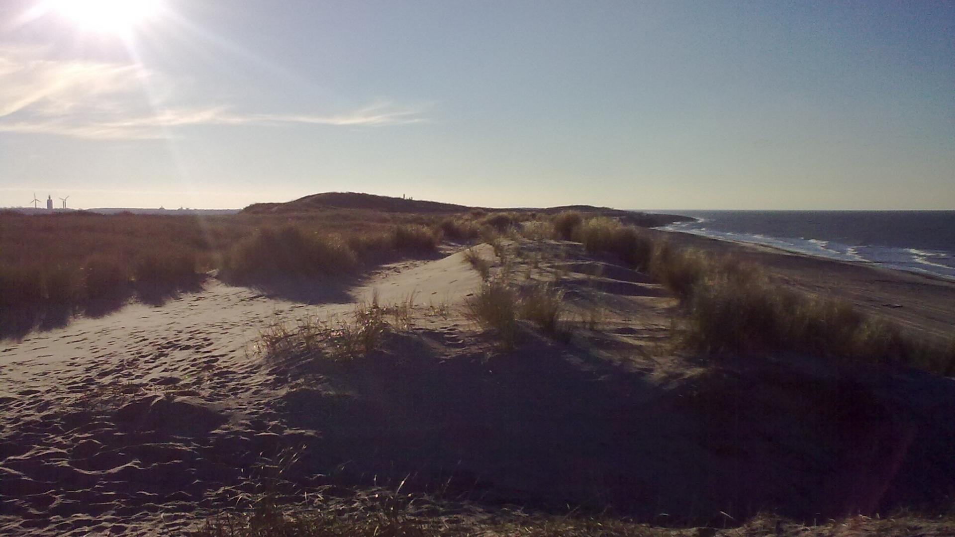 Domburg1.jpg
